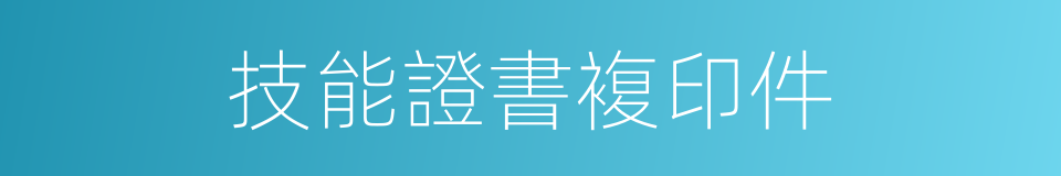 技能證書複印件的同義詞