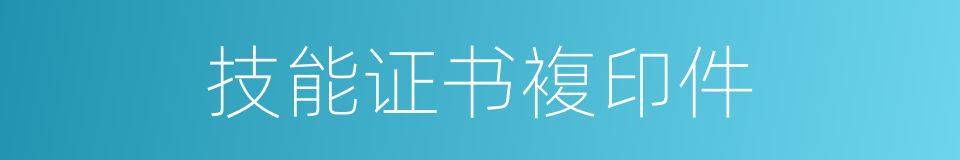 技能证书複印件的同义词