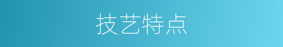 技艺特点的同义词