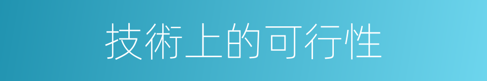 技術上的可行性的同義詞