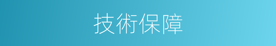 技術保障的同義詞