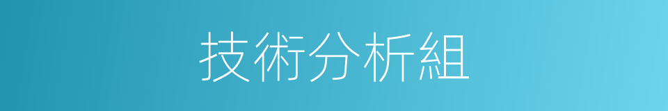 技術分析組的同義詞