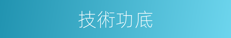 技術功底的同義詞