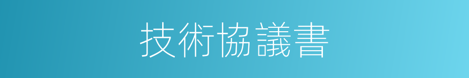 技術協議書的同義詞