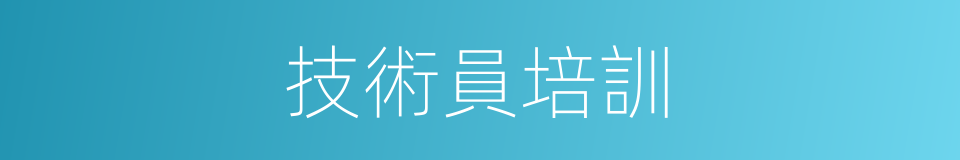 技術員培訓的同義詞