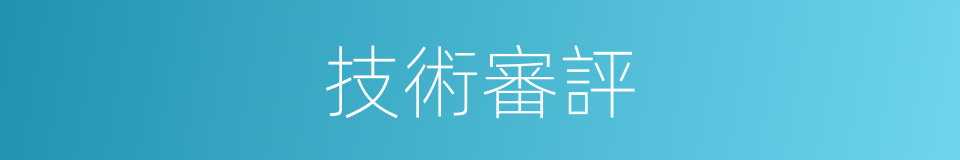 技術審評的同義詞