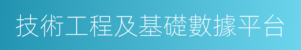 技術工程及基礎數據平台的同義詞