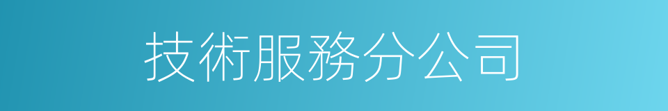 技術服務分公司的同義詞