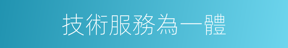 技術服務為一體的同義詞