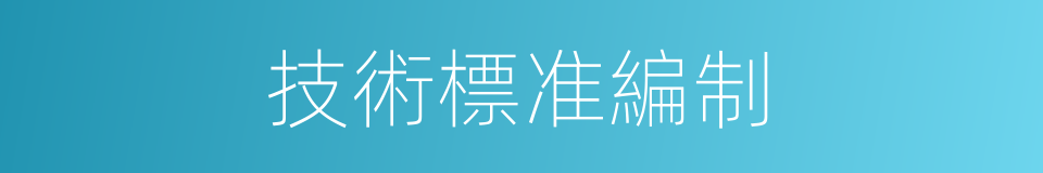 技術標准編制的同義詞