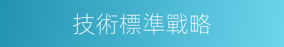 技術標準戰略的同義詞