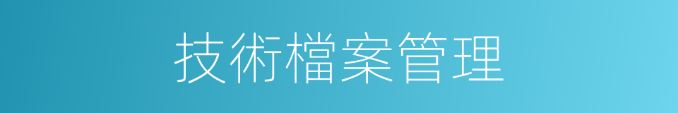 技術檔案管理的同義詞