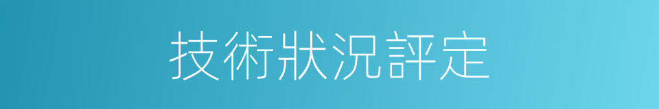 技術狀況評定的同義詞