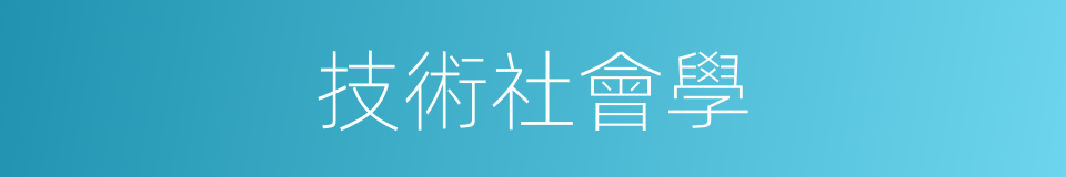 技術社會學的同義詞