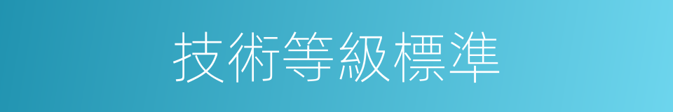 技術等級標準的同義詞