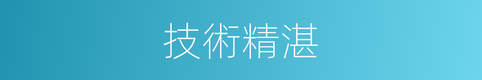 技術精湛的意思