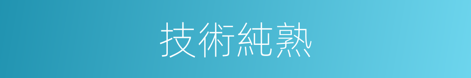 技術純熟的同義詞