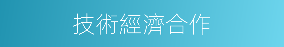 技術經濟合作的同義詞