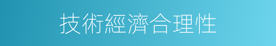 技術經濟合理性的同義詞