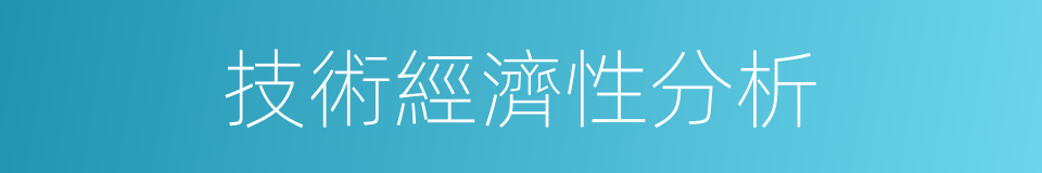 技術經濟性分析的同義詞