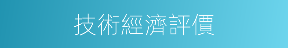 技術經濟評價的同義詞