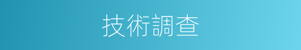 技術調查的同義詞