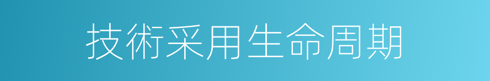 技術采用生命周期的同義詞