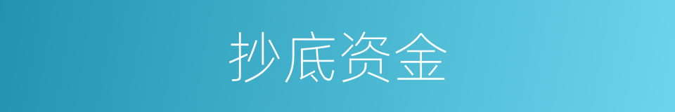 抄底资金的同义词