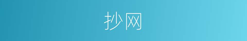 抄网的意思