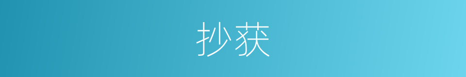 抄获的意思