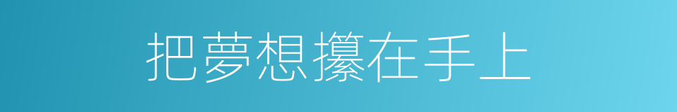 把夢想攥在手上的同義詞