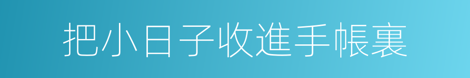 把小日子收進手帳裏的同義詞