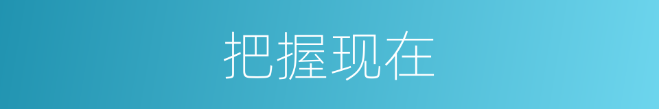 把握现在的同义词