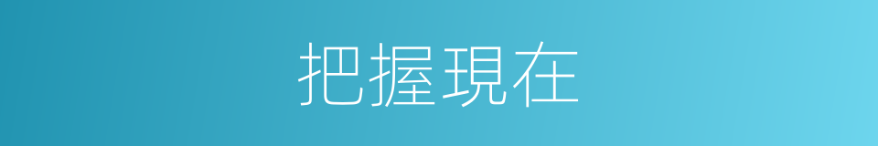 把握現在的同義詞