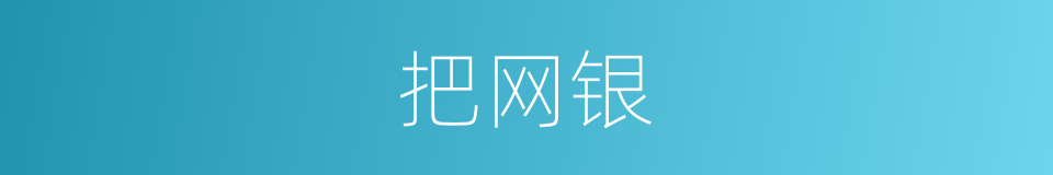 把网银的同义词