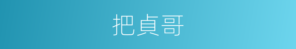 把貞哥的同義詞
