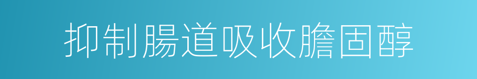 抑制腸道吸收膽固醇的同義詞
