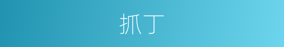 抓丁的意思