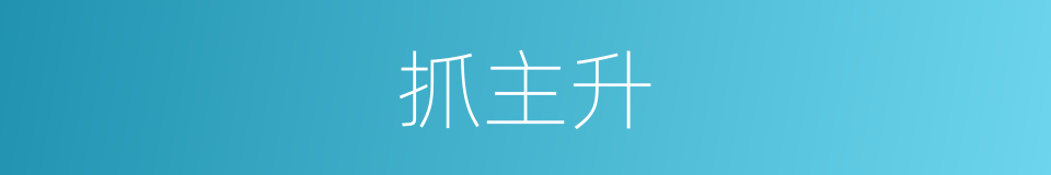 抓主升的同义词
