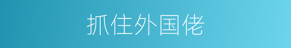 抓住外国佬的同义词
