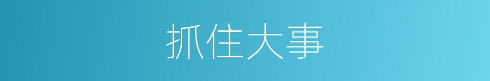 抓住大事的同义词