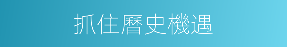 抓住曆史機遇的同義詞
