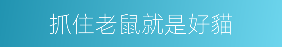 抓住老鼠就是好貓的同義詞