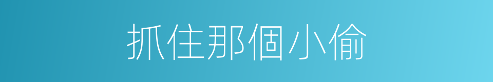 抓住那個小偷的同義詞