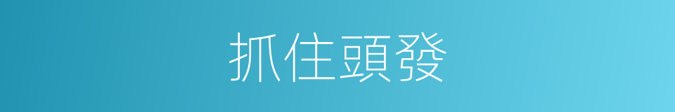 抓住頭發的同義詞