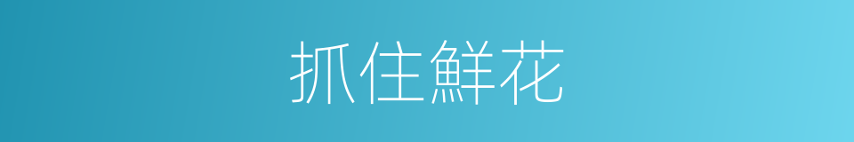 抓住鮮花的同義詞