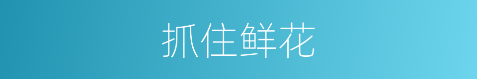 抓住鲜花的同义词