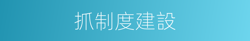 抓制度建設的同義詞