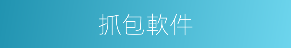 抓包軟件的同義詞