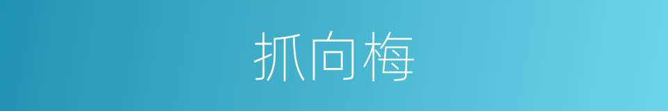 抓向梅的同义词